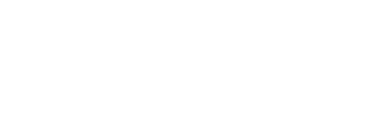 Logo ebir blanc