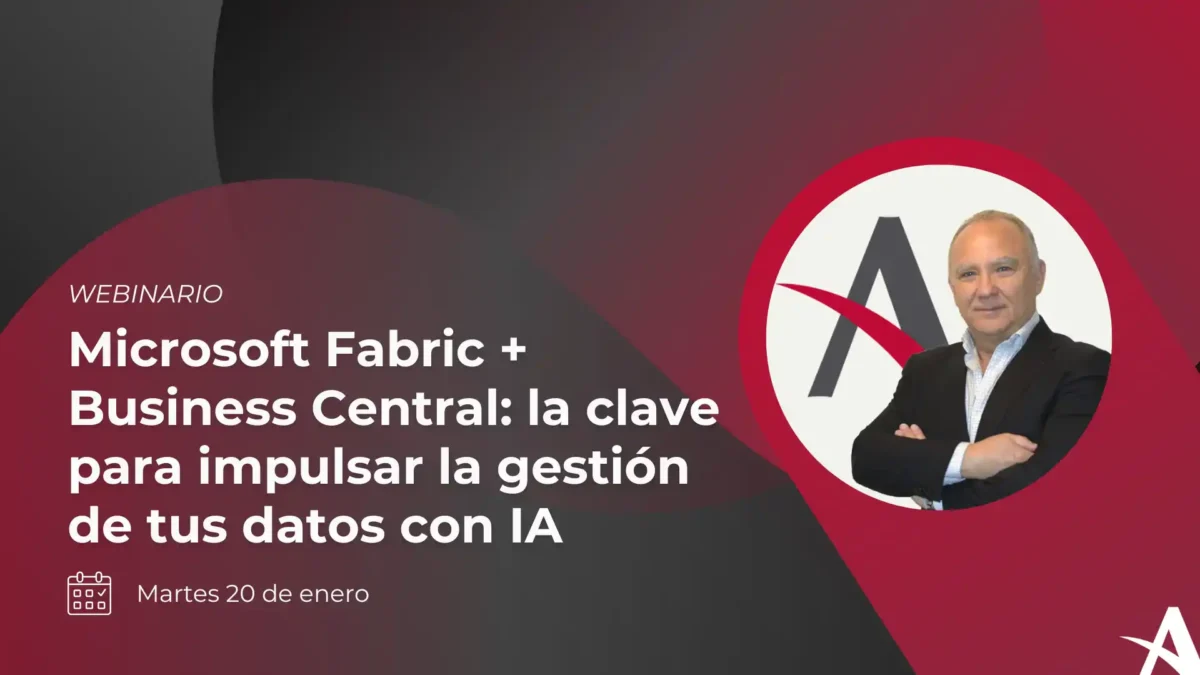 fabric-business-central-gestion-datos