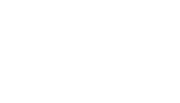 logo anticimex dynamics nav