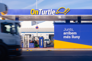 situacion-inicial-onturtle-caso-exito-azure-ai situacion-inicial-onturtle-caso-exito-azure-ai