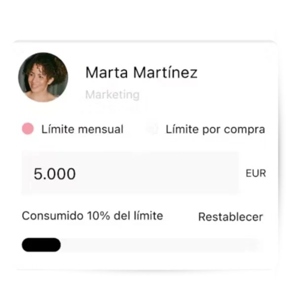 tarjeta-empleados-pleo-aitana-partner